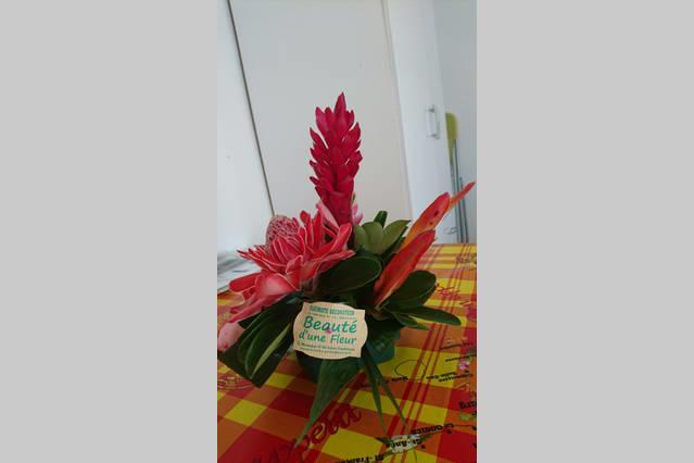 Location Proche Appartement